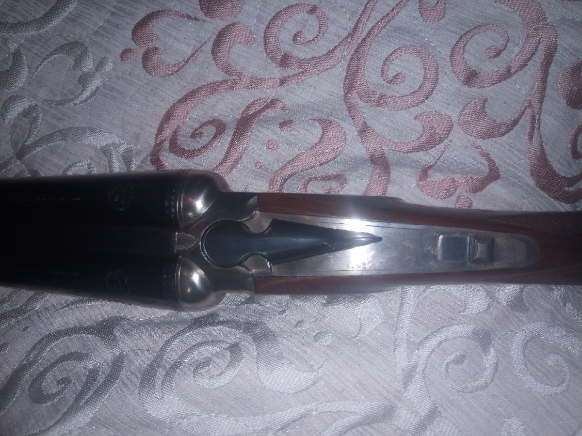 Paralela hermanos zamacola