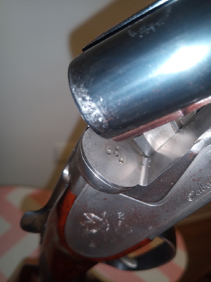 Jabalí Hermanos Zamacola