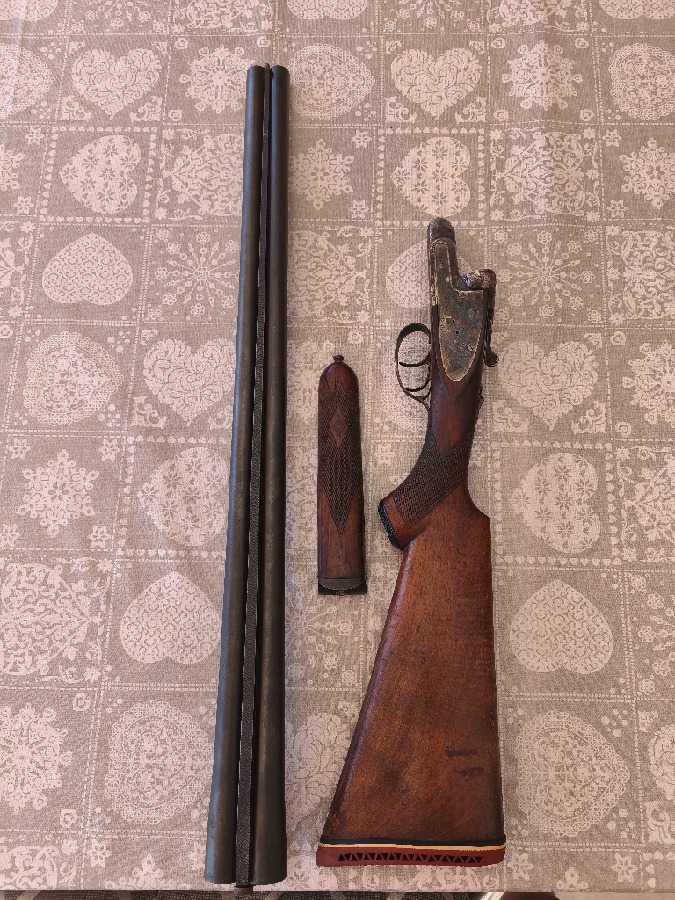 Paralela Setter Cal 12