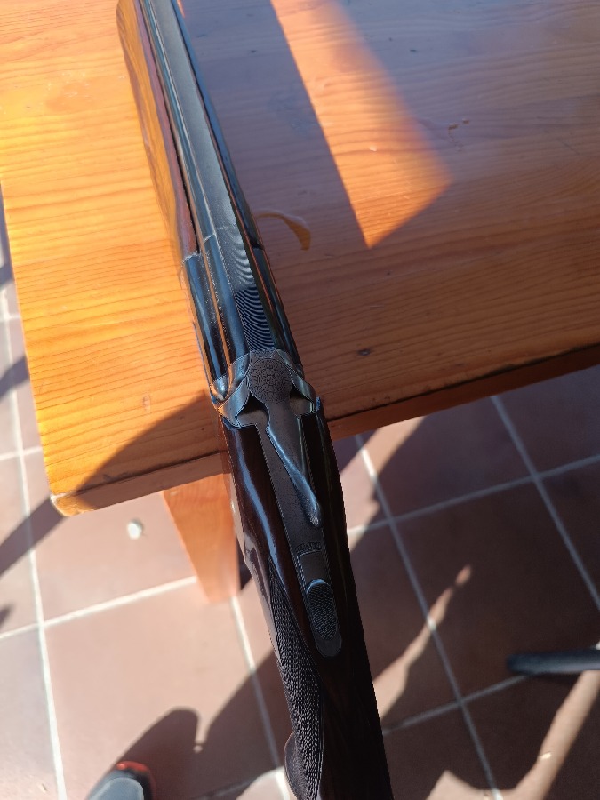 Perazzi MX8, Blanca Pulida