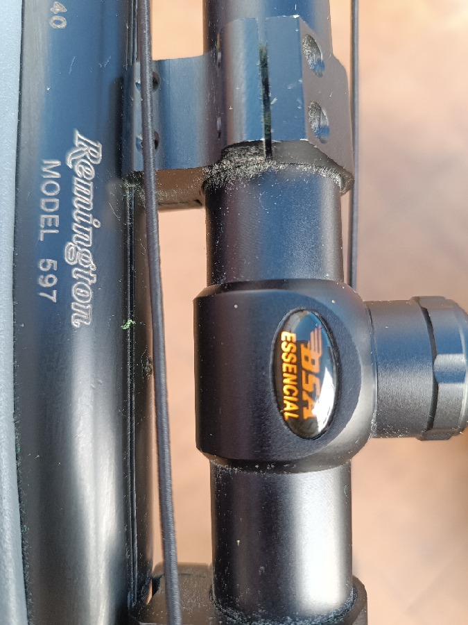 Remington 597 con visor