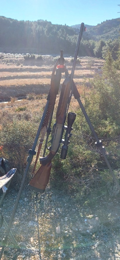 Remington 750 Woodsmaster 30-06