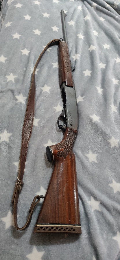 Remington 742