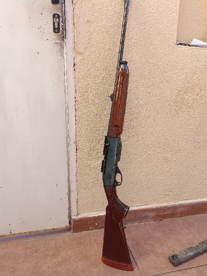 Remington Semiautomático .243