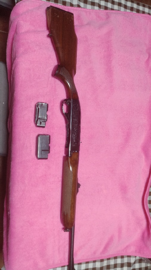 Remington 7400 en Cantabria