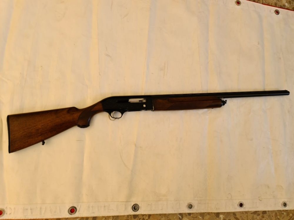 Beretta A301