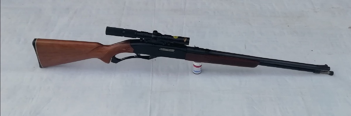 Rifle Winchester Calibre 22