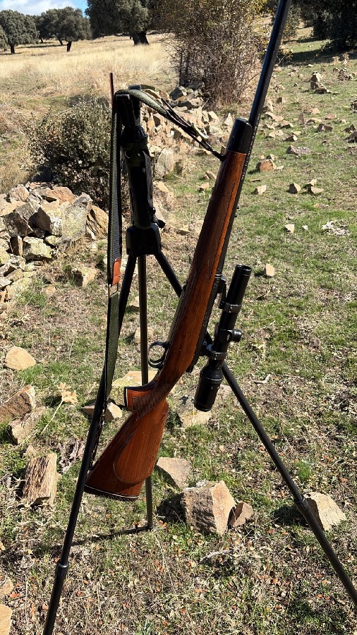 Rifle Remington 700 BDL