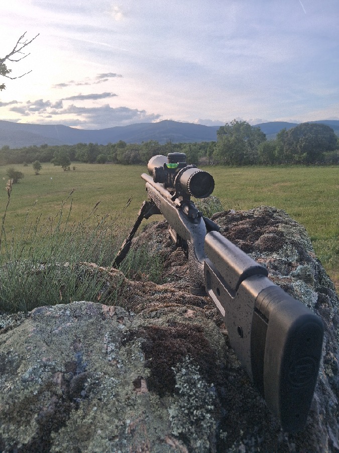 Rifle Bergara B14 Trainer Acero