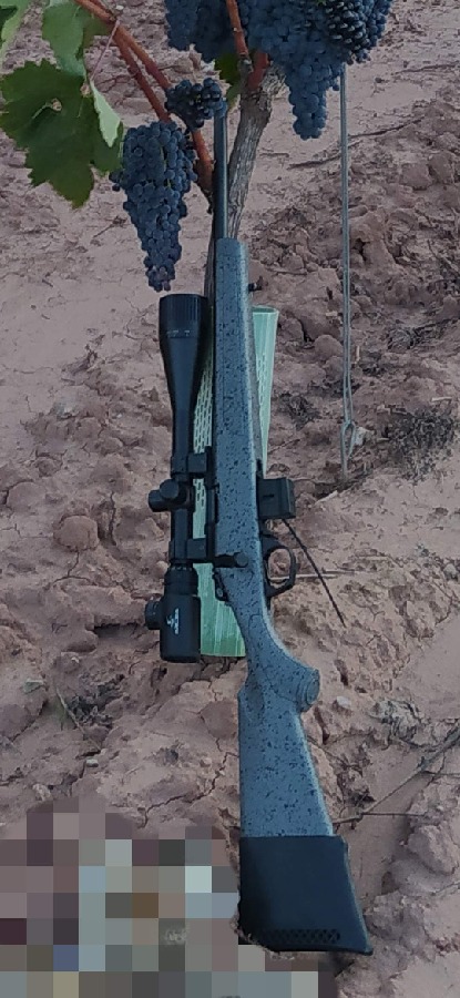 Rifle Bergara BMR Steel Cal. 22LR