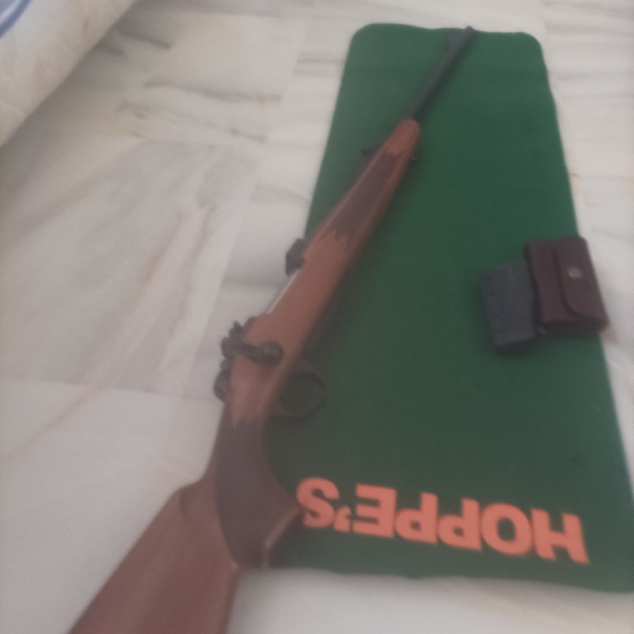 Bergara timber B 14