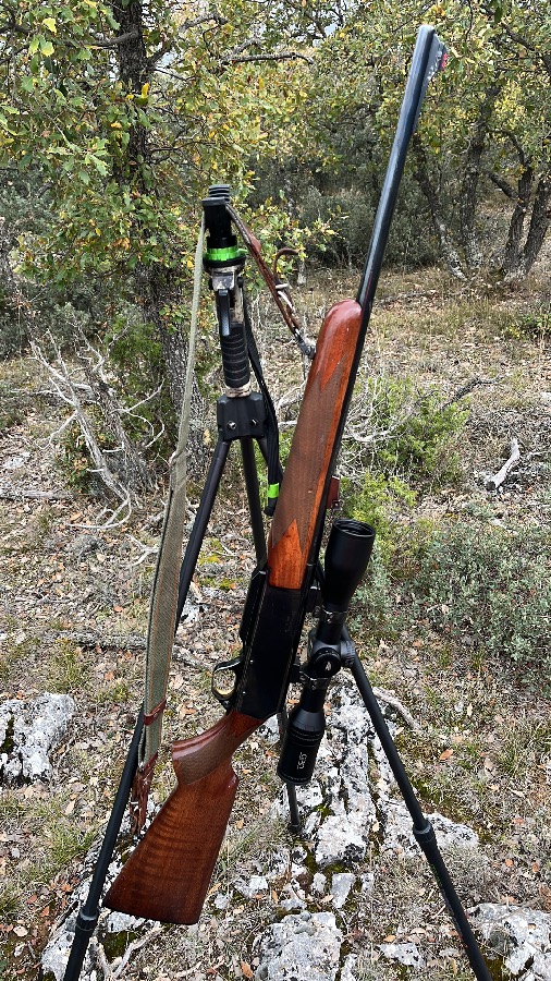 Rifle Browning Bar 2