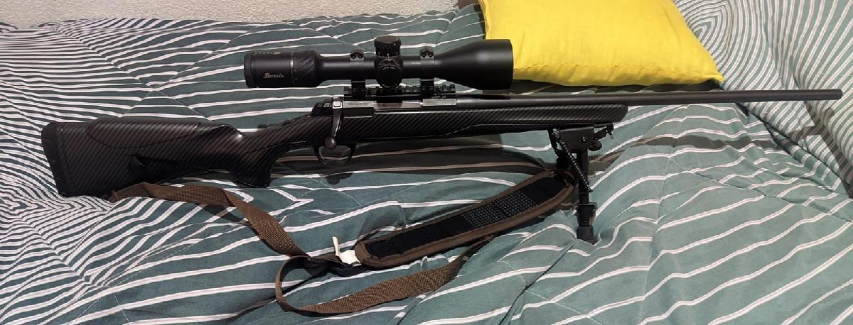 Browning x-bolt y visor burris