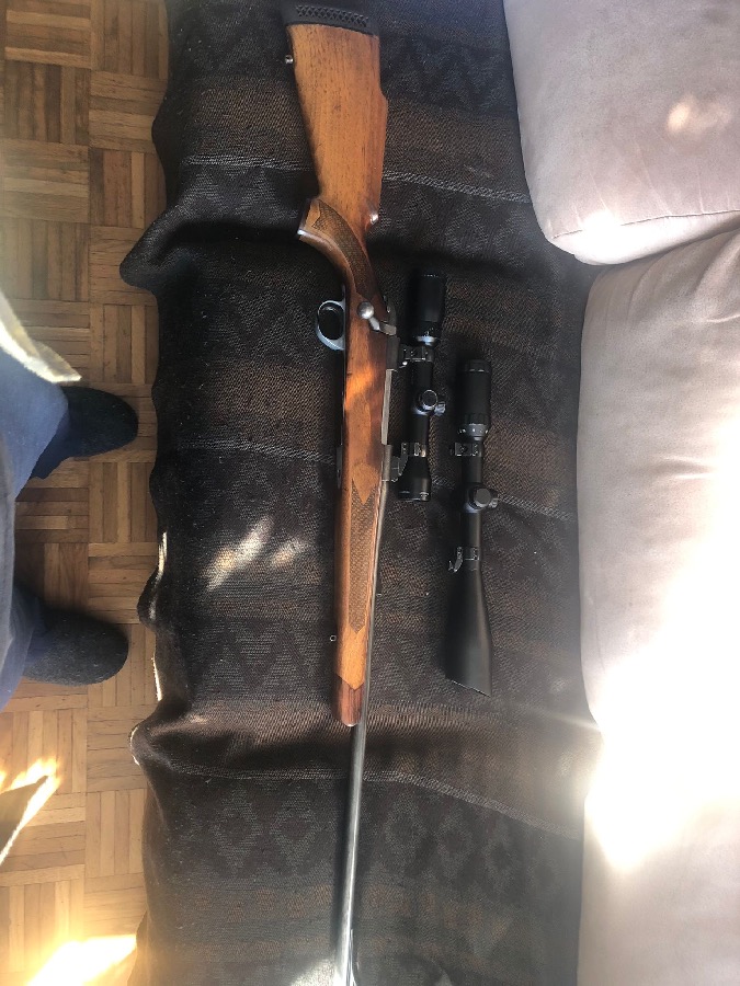 Rifle BSA calibre 270 Win con dos visores y anillas Apel