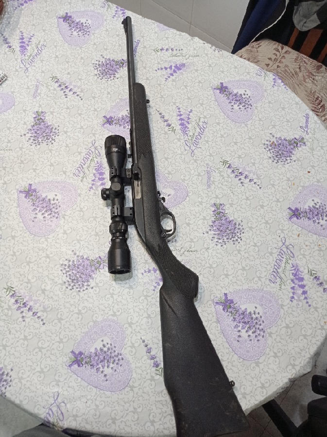 Marlin 22 LR