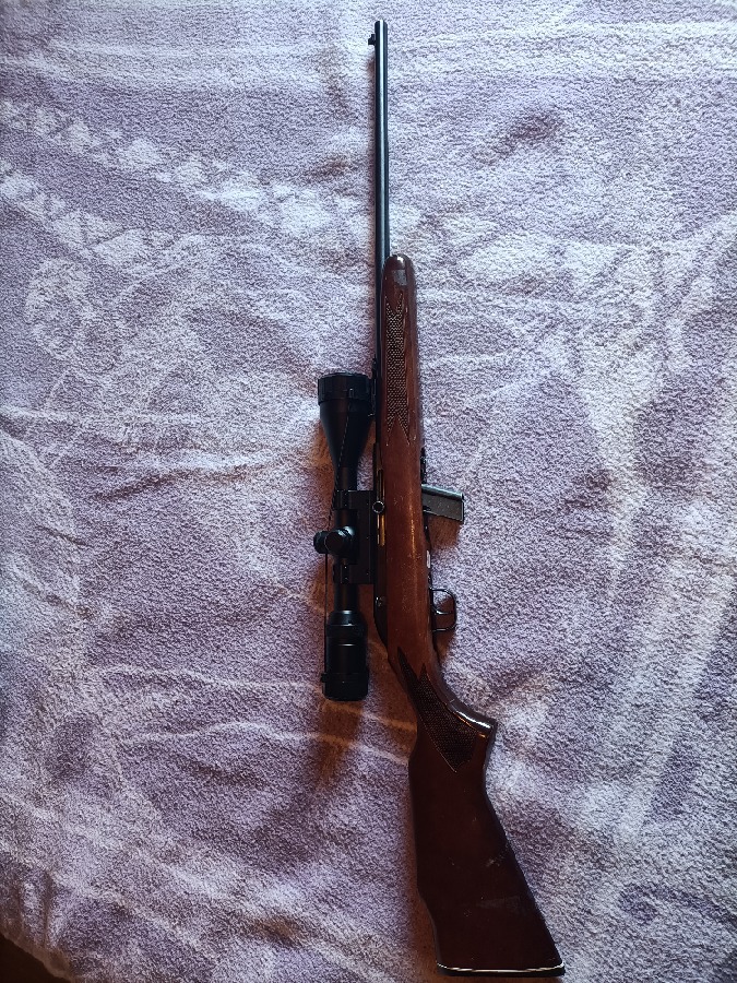 Carabina calibre 22 con visor
