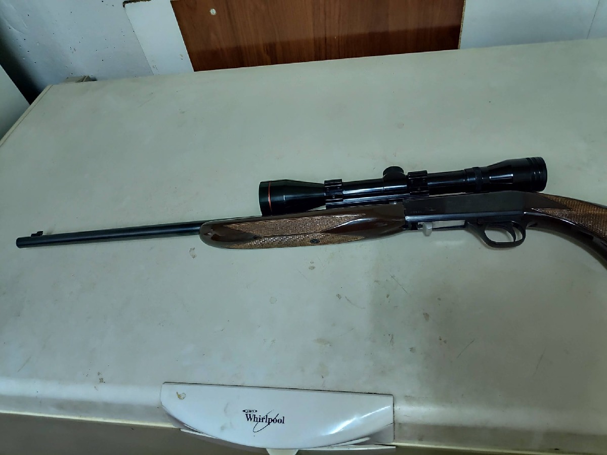 Rifle calibre 22 con visor