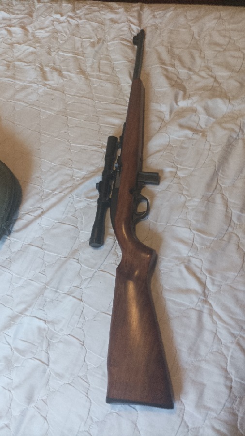 Rifle calibre 22 LR con mira telescópica