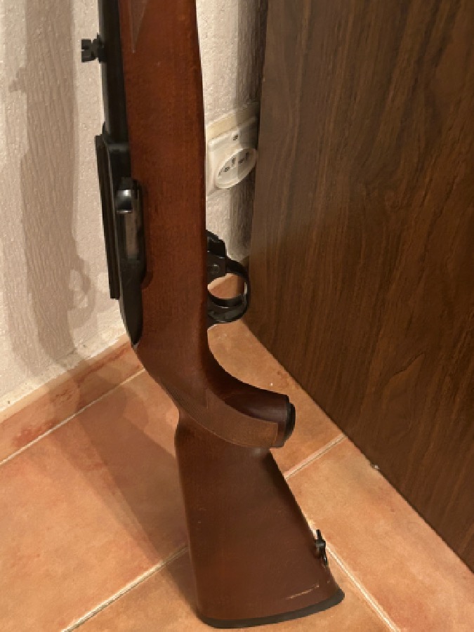 Ruger 22lr
