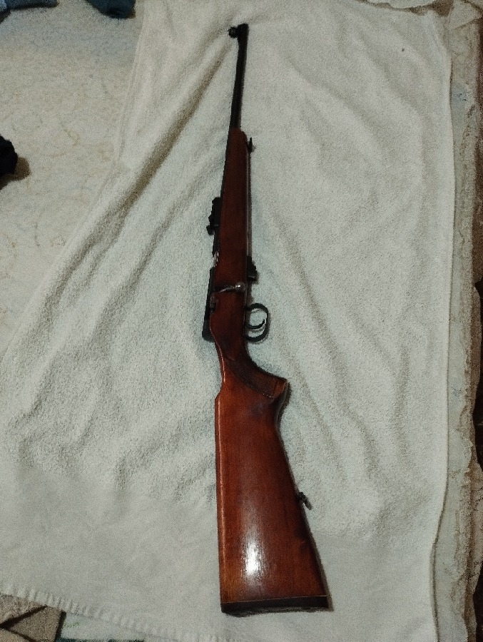 Rifle Carabina TOZ 22 LR