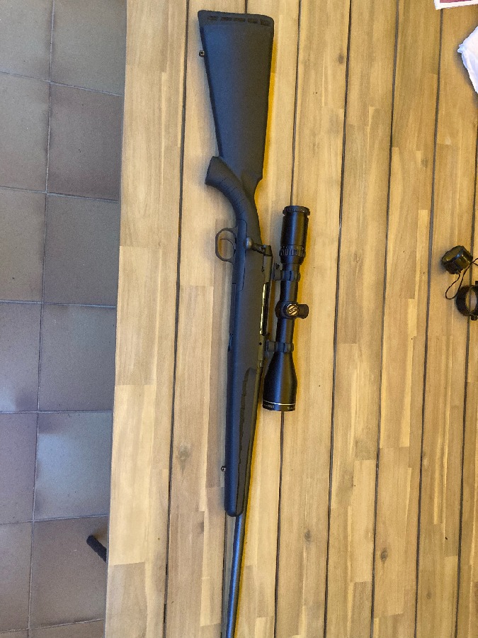 Savage Axis SR 243 Win. | Visor Shilba Magnum II 2.5-10x50