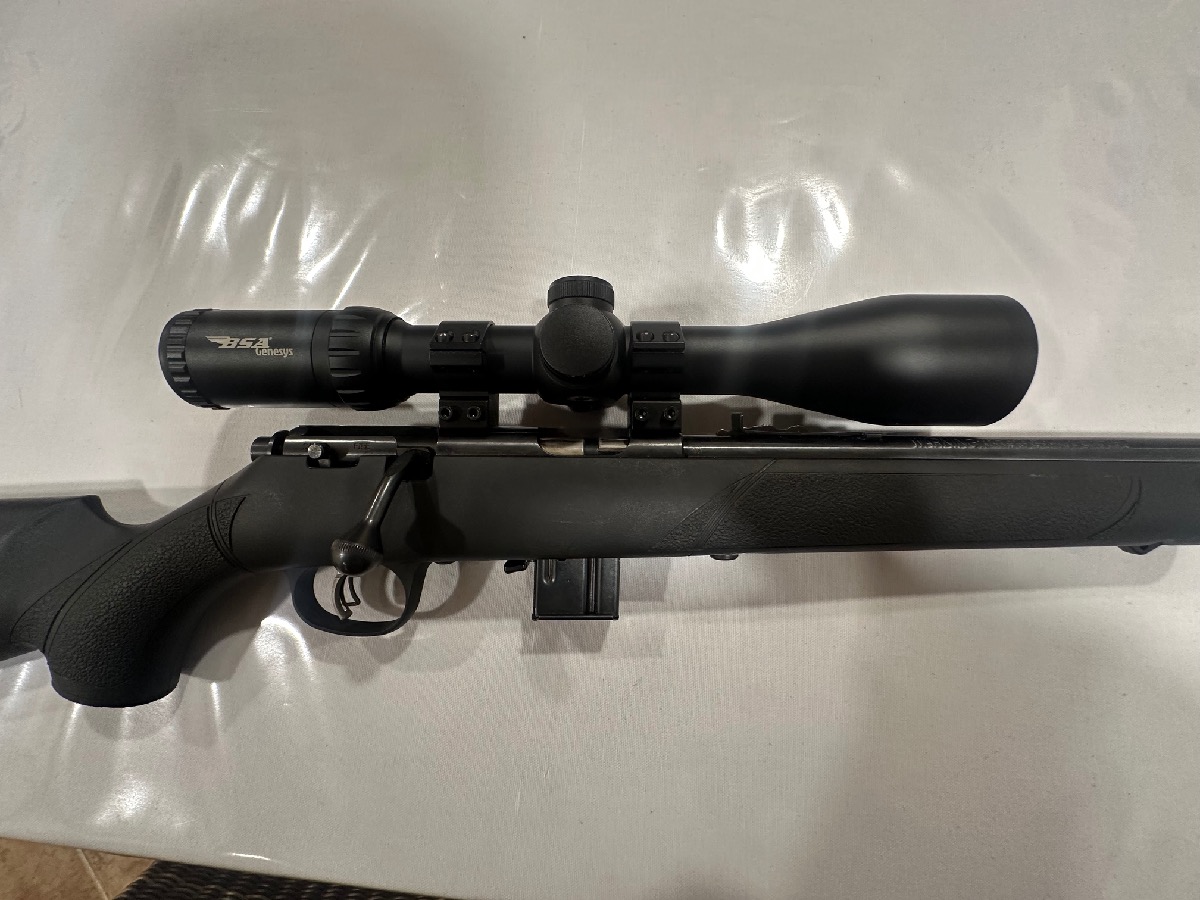 Rossi 17 Hmr