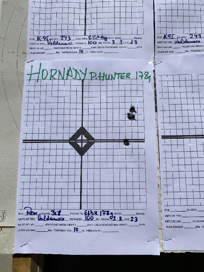 Rifle de Cerrojo Remington 308