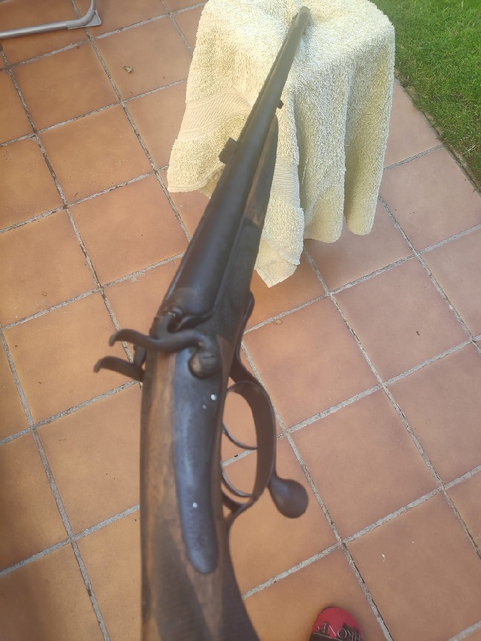 Rifle Express E.M. Reilly