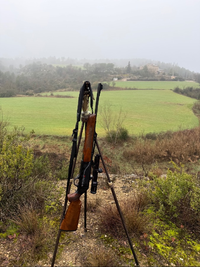 Rifle HK 30-06 con Visor Swarovski