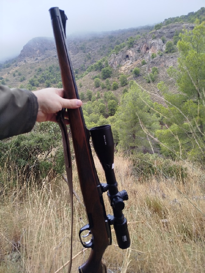 Rifle Steyr Mannlicher Stutzen Calibre 270 Win