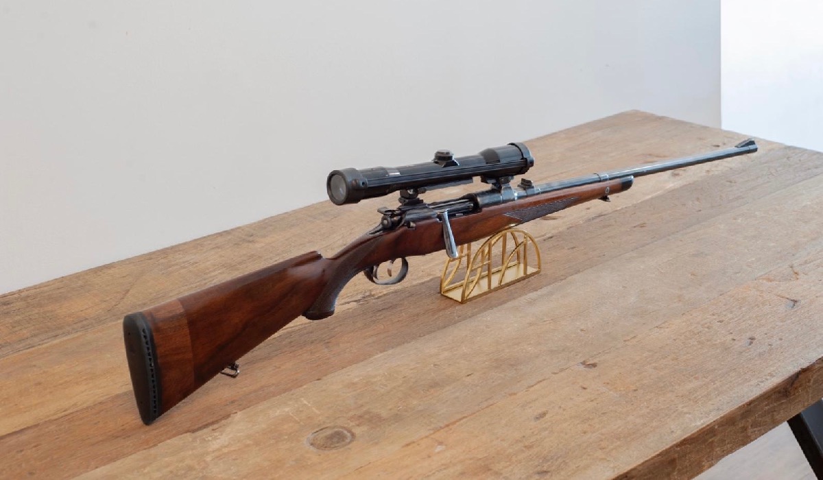 Mannlicher Schonauer