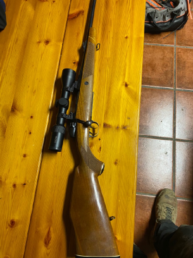 Mauser con visor Avistar