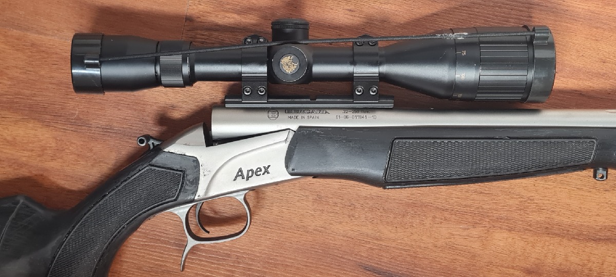 Bergara Apex