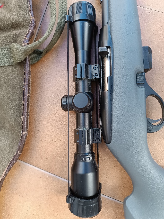 Rifle Remington 597 con visor BSA
