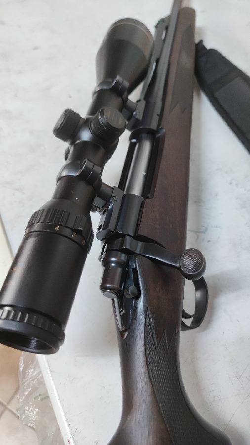 Remington 700 + Visor Shilva