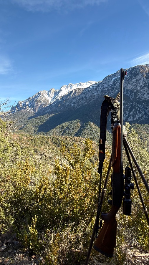 Rifle Remington Woodmaster 750 cal 30.06