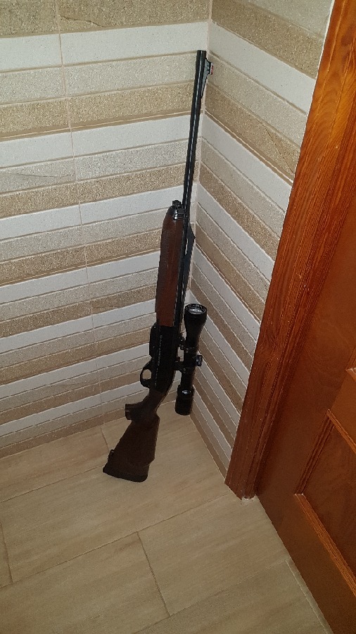 Remington 750 + visor Banner y monturas Apel