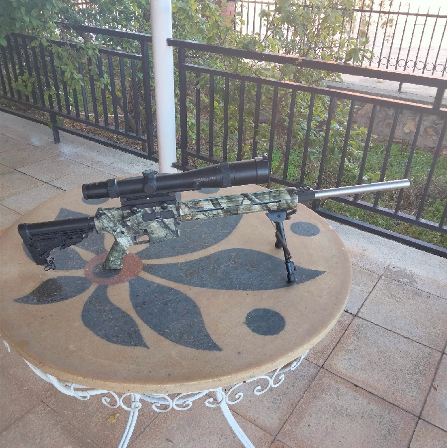 Remington AR25 con cañón Bergara