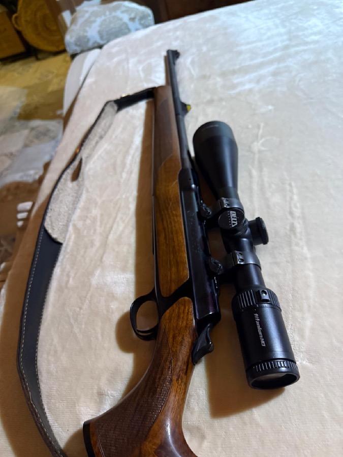 Sauer 303 