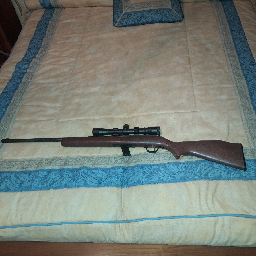 Rifle Savage Calibre 22