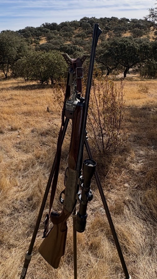 Rifle Semi Remington 7400 30-06