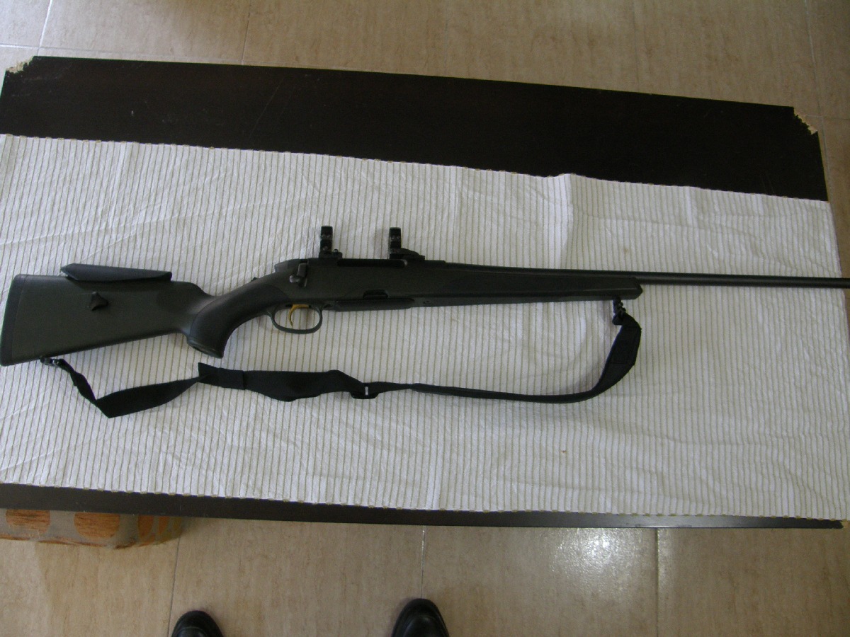 Steir Manlincher SM12 