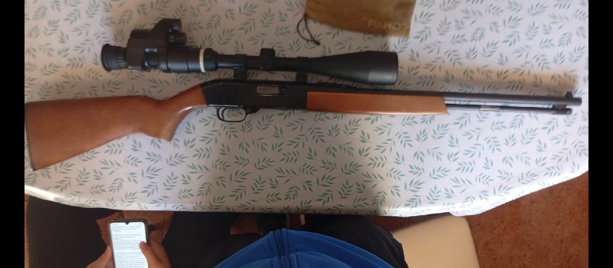 Rifle Winchester Calibre 22