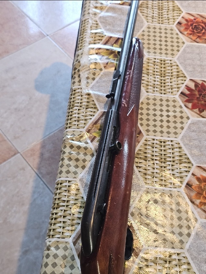 Rifle Savage Mark II G Calibre 22