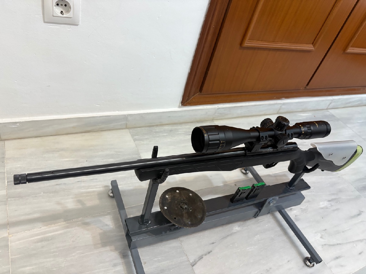 Rossi 17 hmr