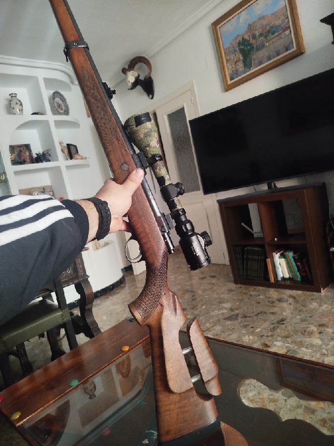 Sako Finnbear Stutzen Calibre 300 WM + Visor Bushnell 3-9x50