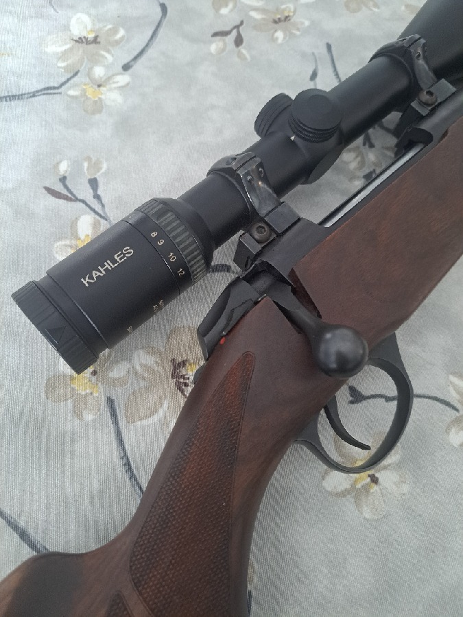 Sako hunter con visor kahles