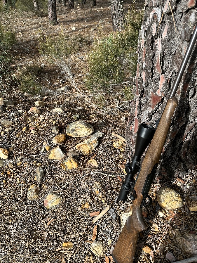 Sauer 100 Clásic Madera Cal. 300