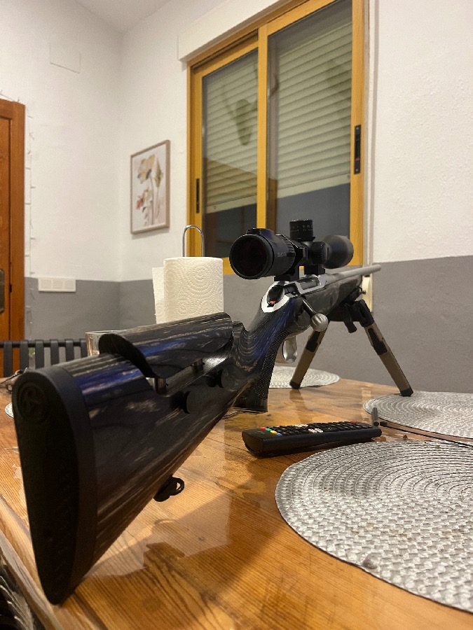 Sauer 101 Alaska 6.5x55 SE