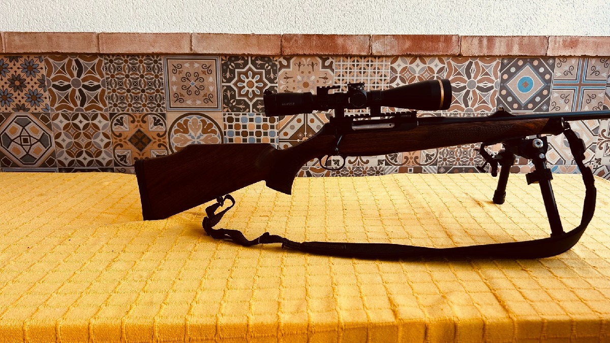 Sauer 202 300 Weatherby Magnum